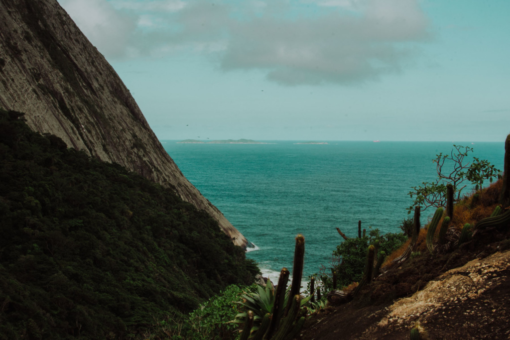 brasil_fernando_meloschik