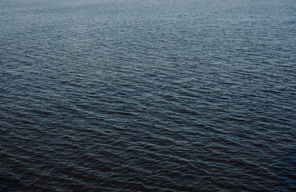 brasil_fernando_meloschik