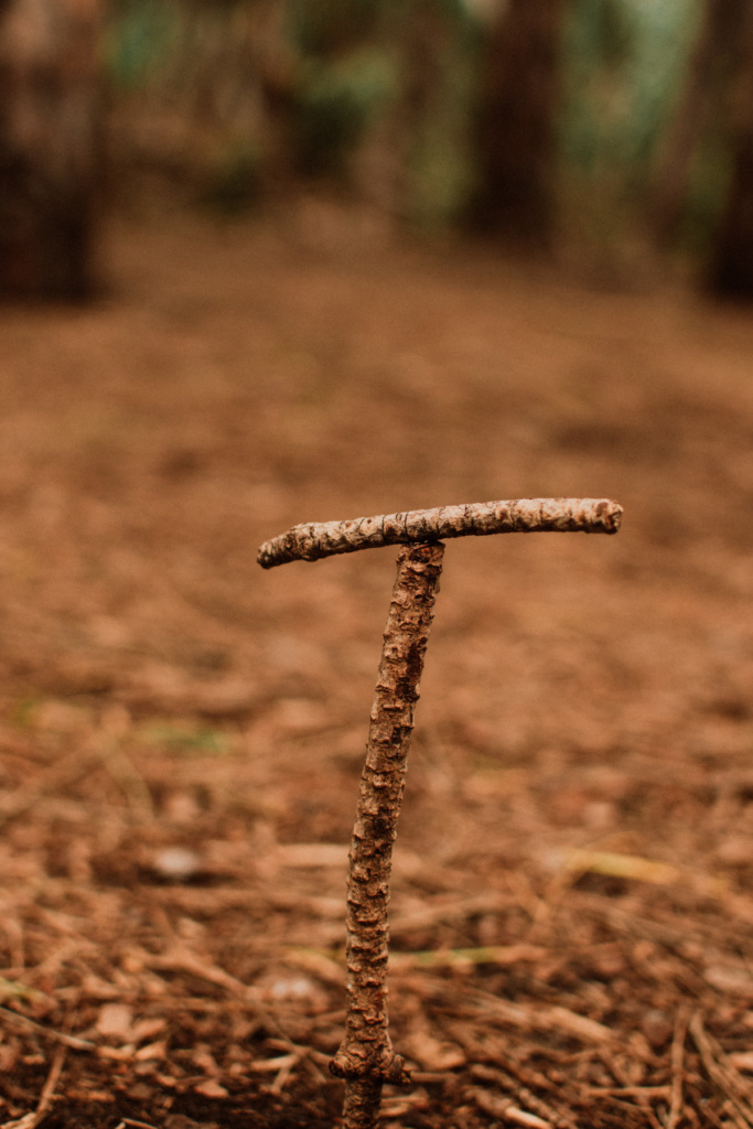 miramar_fernando_meloschik