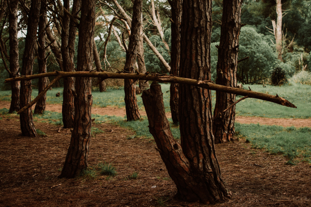 miramar_fernando_meloschik