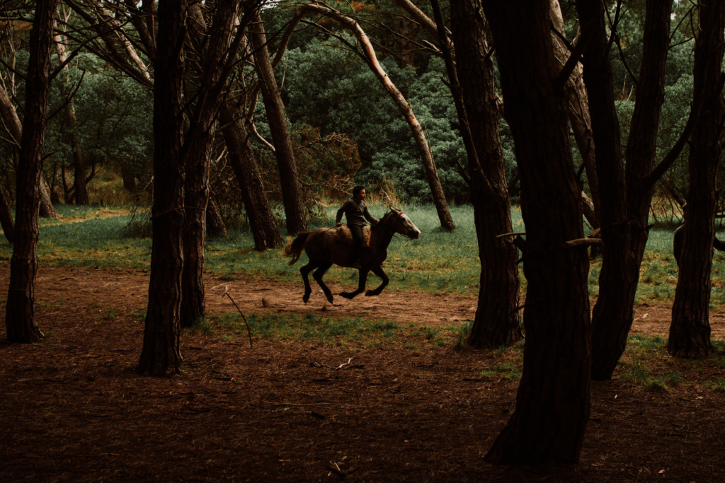 miramar_fernando_meloschik