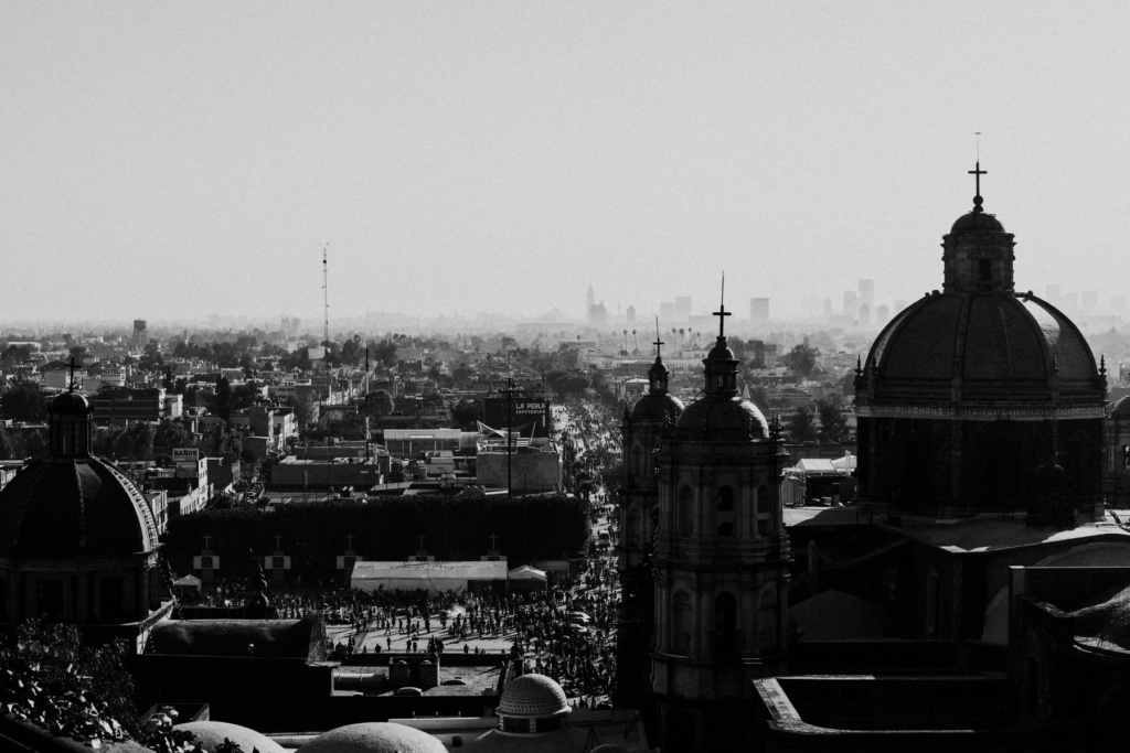 virgen_guadalupe_fernando_meloschik