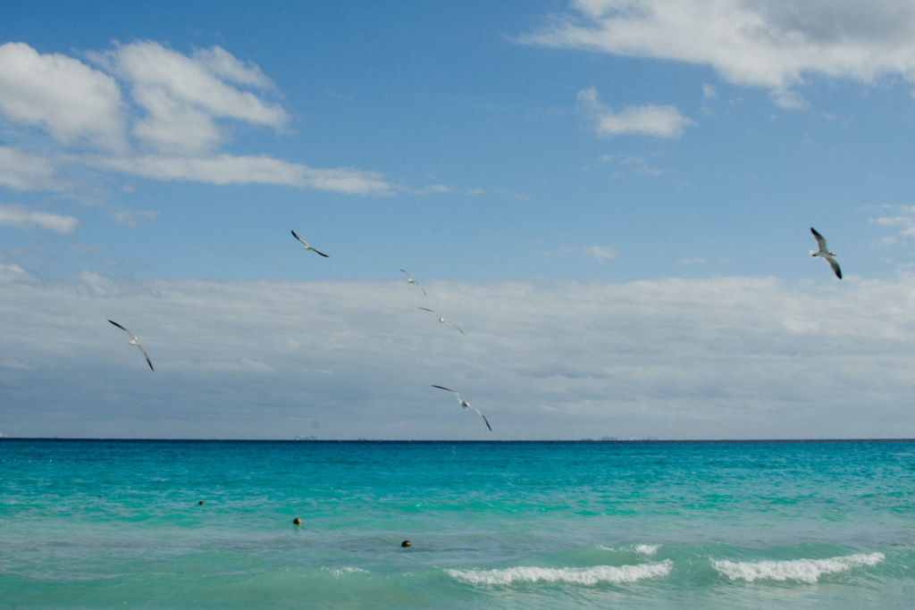 riviera_maya_fernando_meloschik